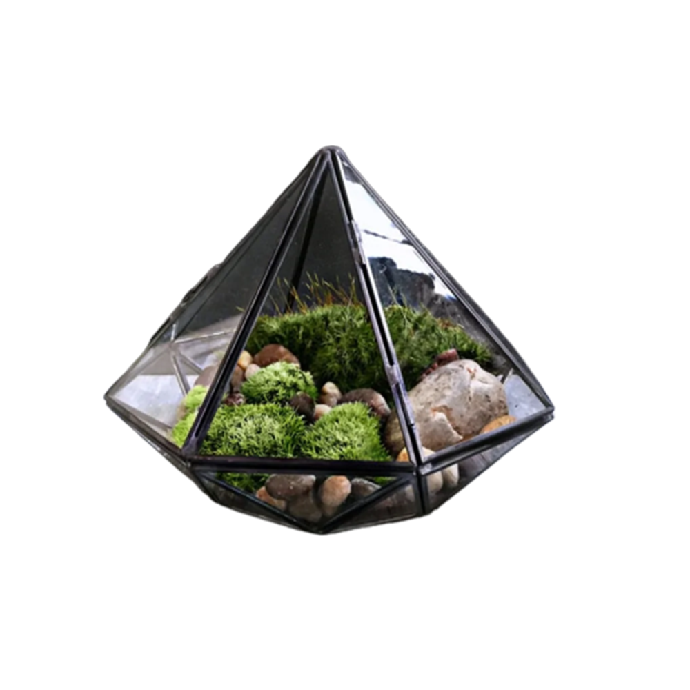 Glass Terrarium